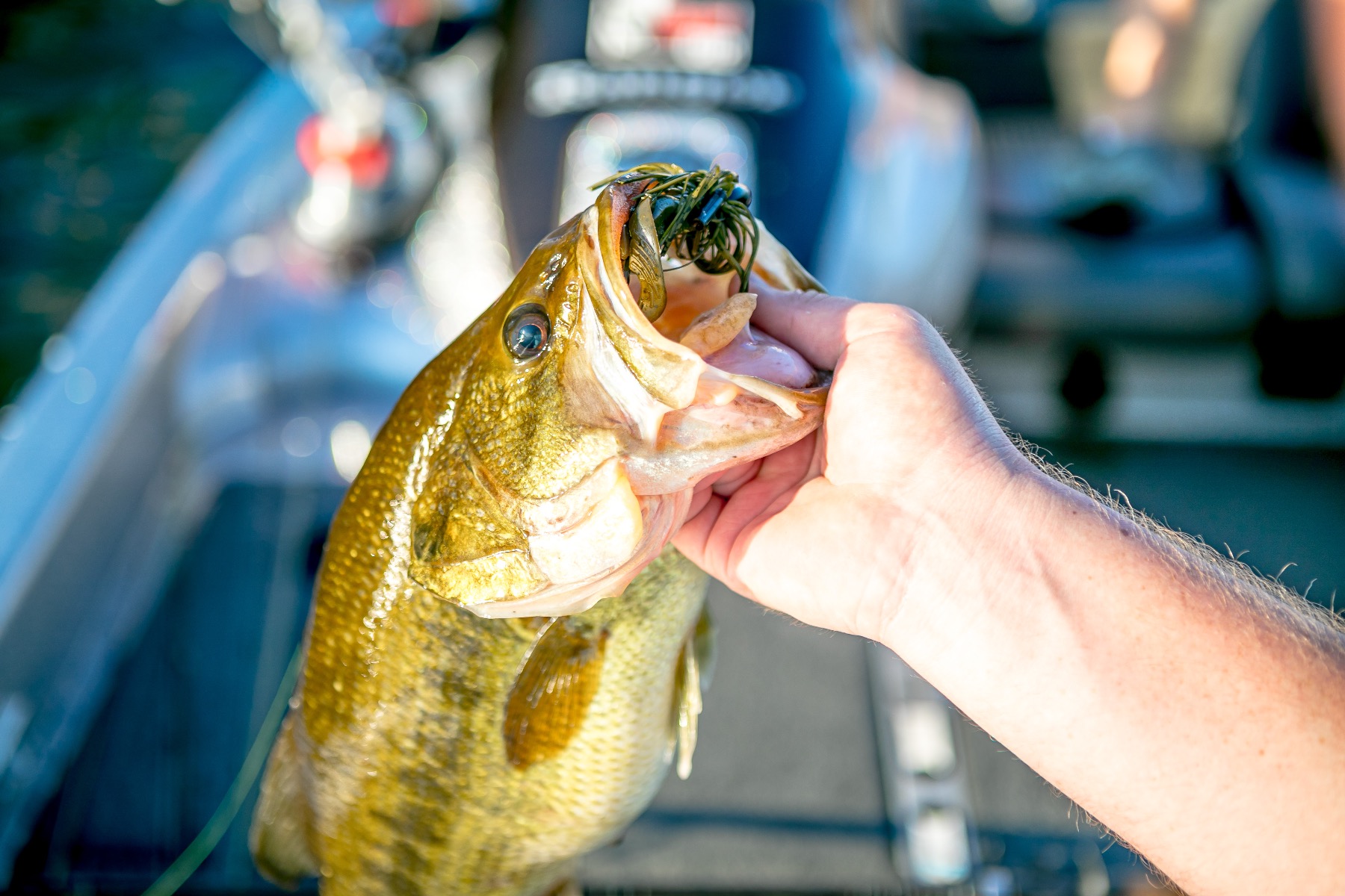 Rattling A.T. Jig - Bulk